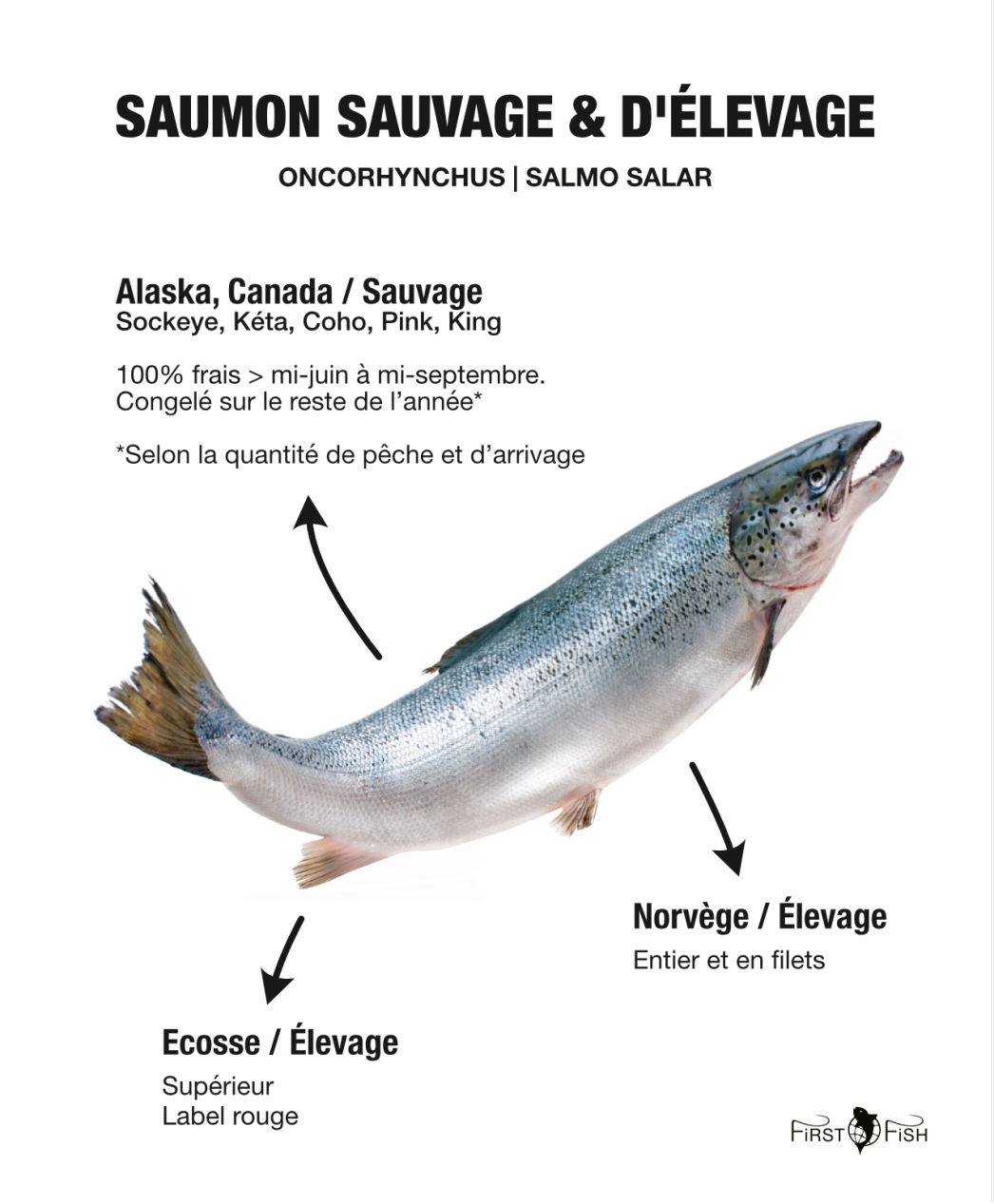 First Fish S.A.